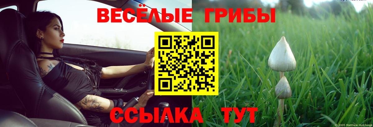 Галлюциногенные грибы ЛСД Грязи